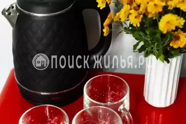 Отель «Есенин Дача»