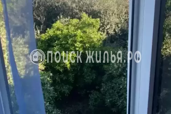 Гостевой дом «Кипарис» Гостевой дом «Кипарис»