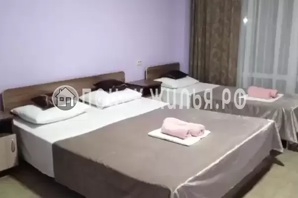 Гостевой дом «Орлинка» Гостевой дом «Орлинка»