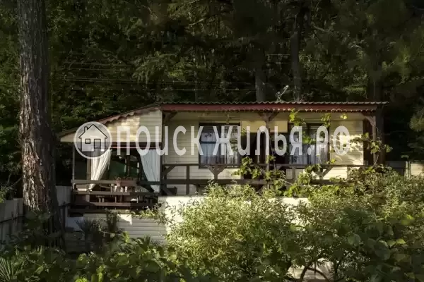 «Сосновый бор» «Сосновый бор»