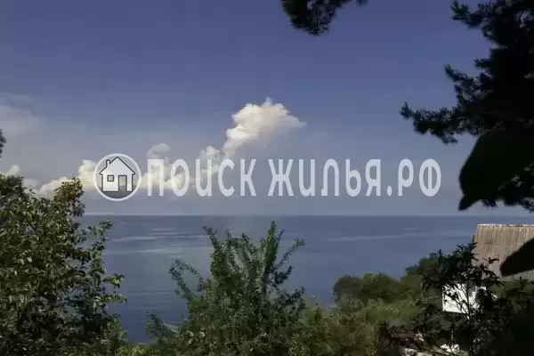 «Сосновый бор» «Сосновый бор»