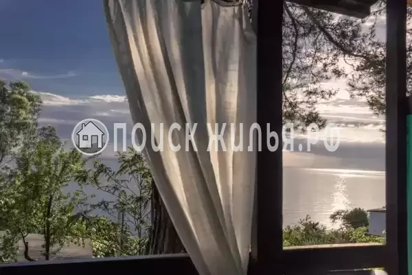 «Сосновый бор» «Сосновый бор»