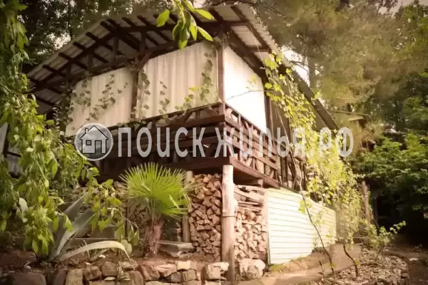 «Сосновый бор» «Сосновый бор»