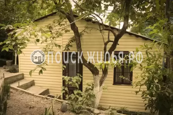 «Сосновый бор» «Сосновый бор»