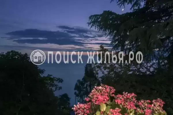 «Сосновый бор» «Сосновый бор»