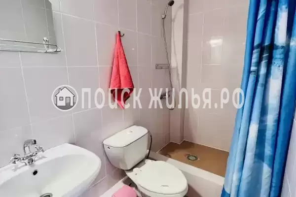 «Янис» «Янис»