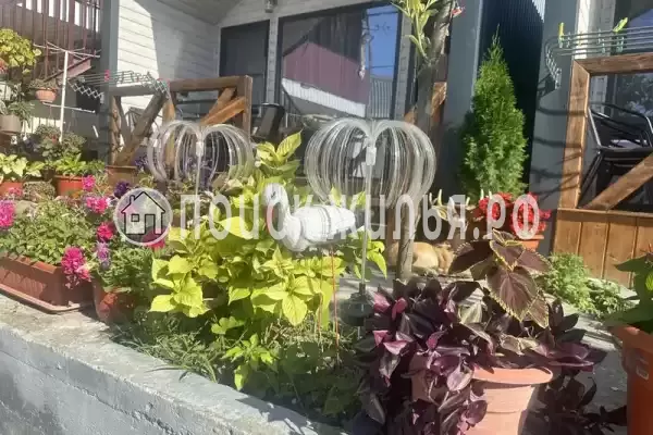 «Жасмин» «Жасмин»