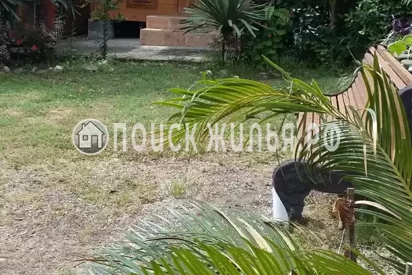 База отдыха «Эвкалипт»