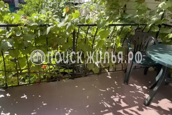 «На Виноградной»