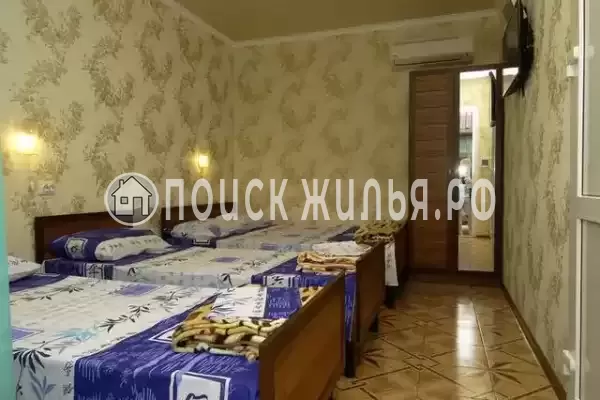 «Светлана» «Светлана»