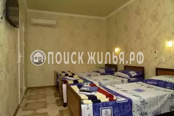 «Светлана» «Светлана»