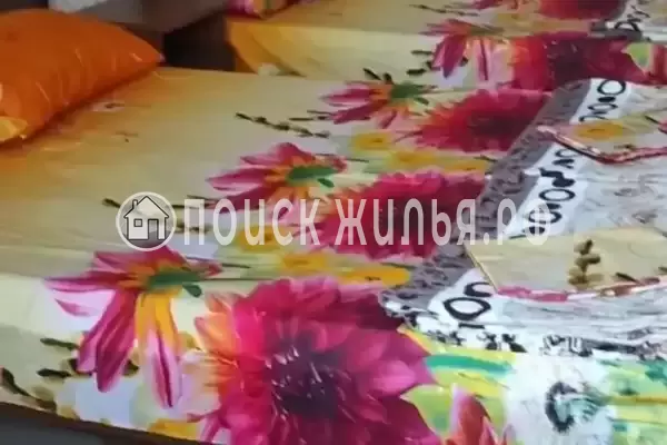 «Светлана» «Светлана»