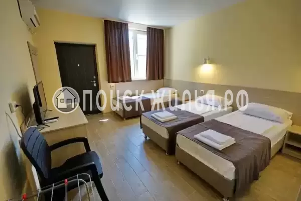 «МореМоё» «МореМоё»