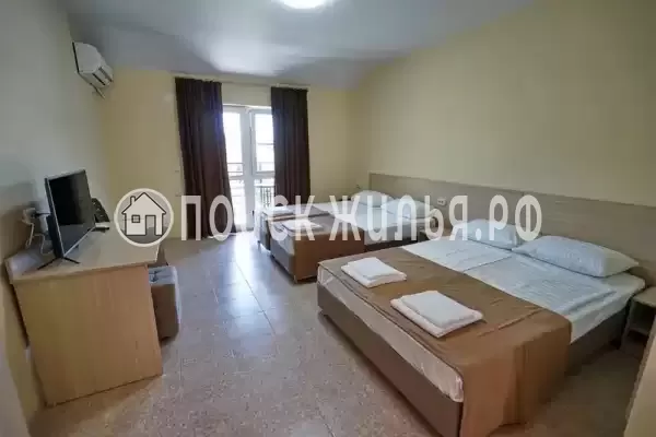 «МореМоё» «МореМоё»