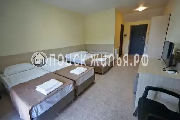 «МореМоё» «МореМоё»