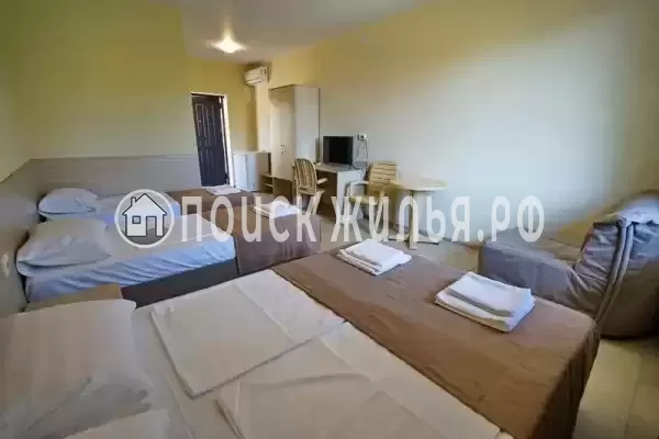 «МореМоё» «МореМоё»