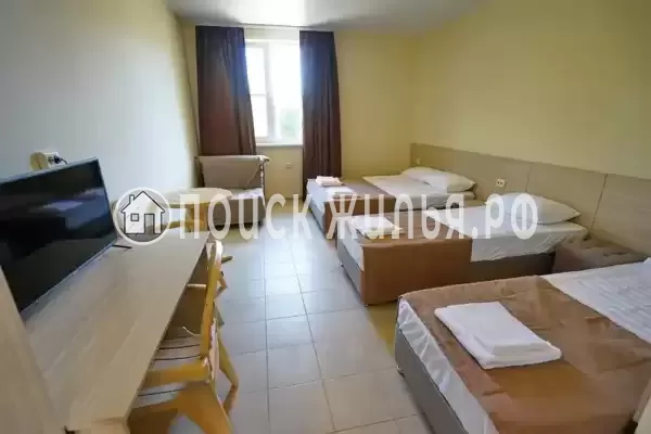 «МореМоё» «МореМоё»