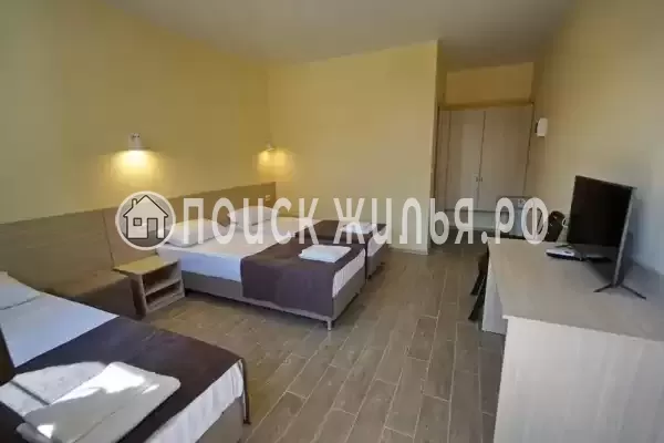 «МореМоё» «МореМоё»