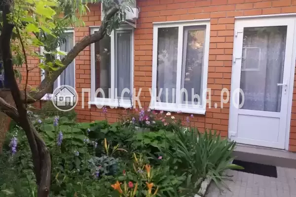 «Цоев ковчег» «Цоев ковчег»