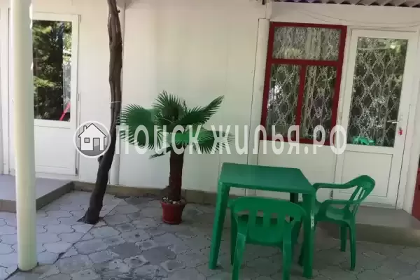 «Цоев ковчег» «Цоев ковчег»