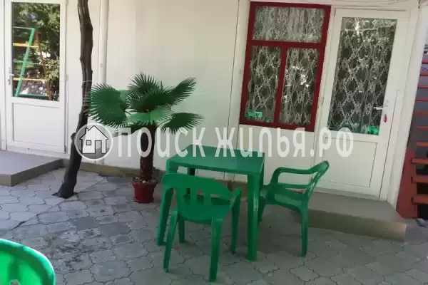 «Цоев ковчег» «Цоев ковчег»