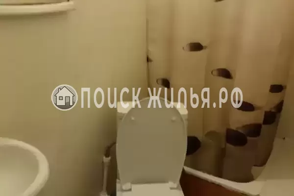 «Цоев ковчег» «Цоев ковчег»