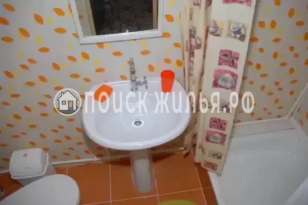 «Цоев ковчег» «Цоев ковчег»