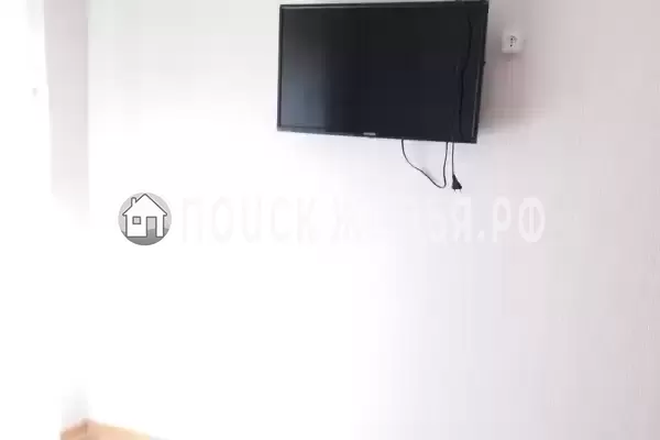 «Цоев ковчег» «Цоев ковчег»