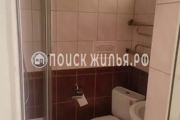 «Алена» «Алена»