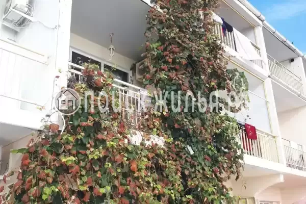 Частный сектор «Эллинг Семейный» Частный сектор «Эллинг Семейный»