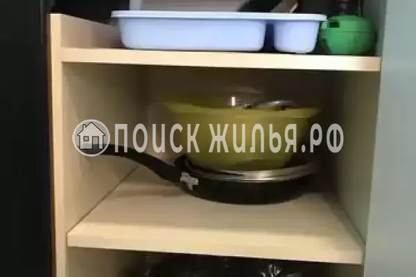 «Василиса» «Василиса»