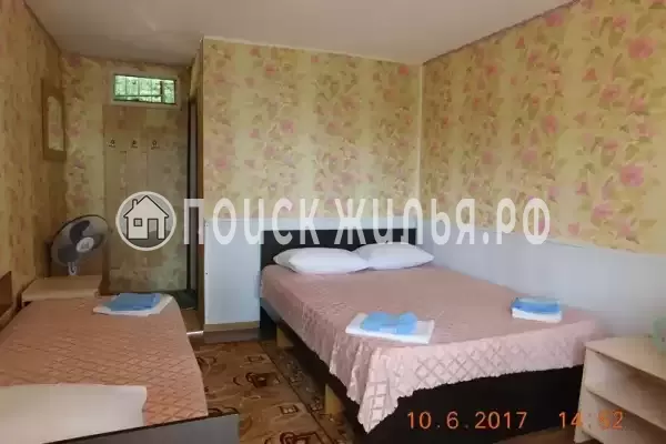 «Ника» «Ника»