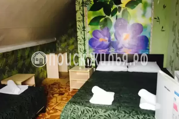 «Ника» «Ника»