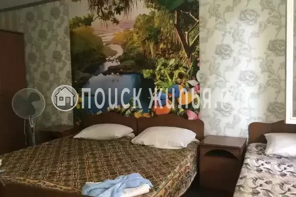 «Ника» «Ника»