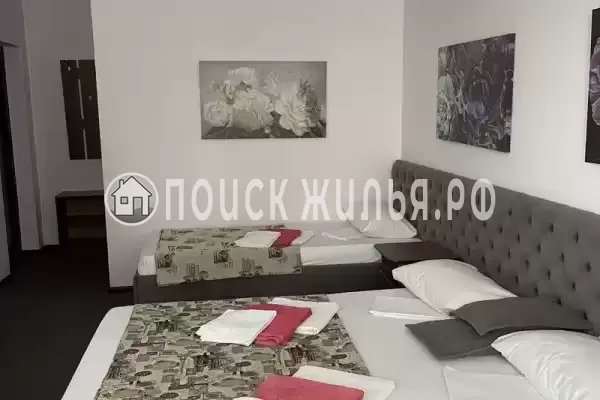 «Горная орхидея»