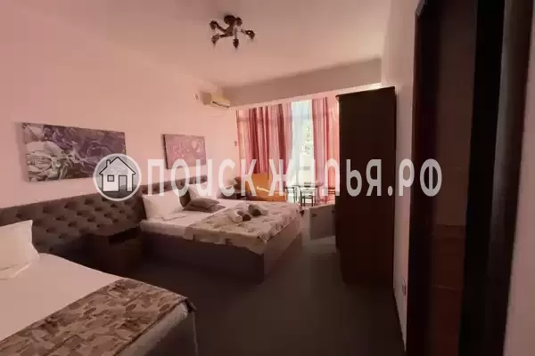 «Горная орхидея»