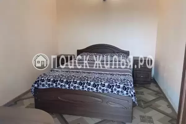 «Фламинго»