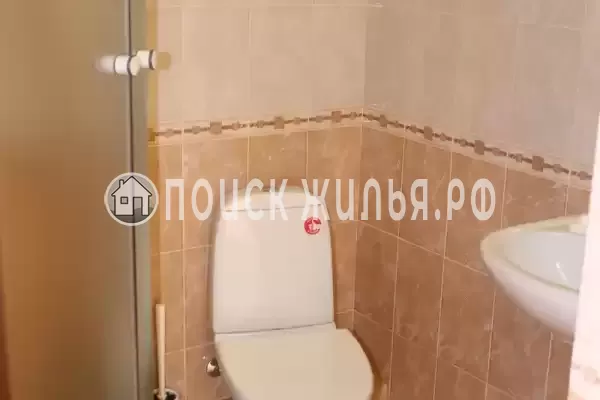 «Лесная сказка» «Лесная сказка»