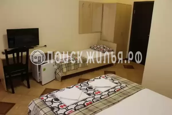 «Лесная сказка» «Лесная сказка»