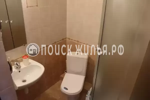 «Лесная сказка» «Лесная сказка»