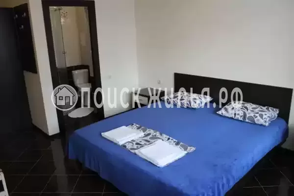 «Лесная сказка» «Лесная сказка»