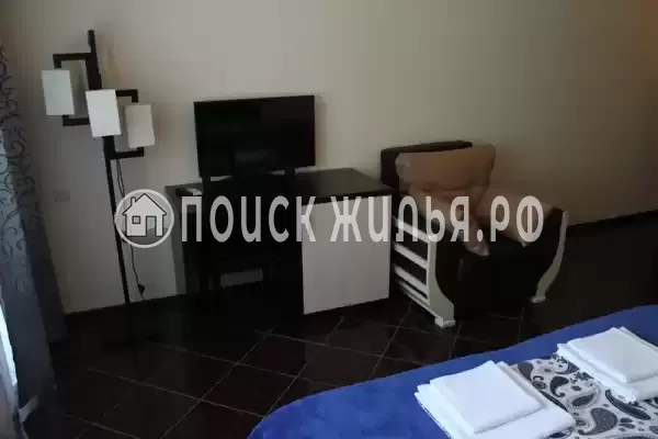 «Лесная сказка» «Лесная сказка»