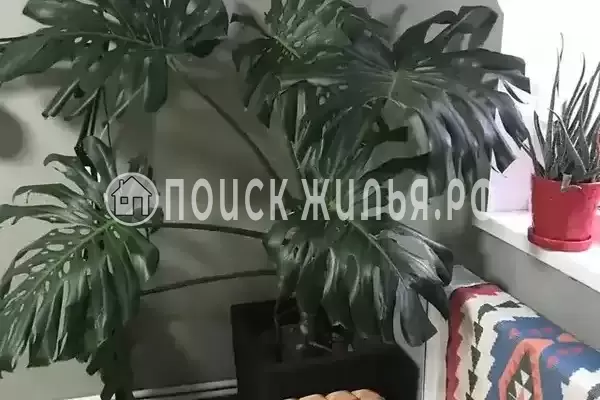 «На Пограничников»