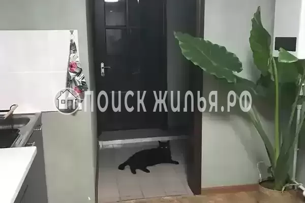 «На Пограничников»