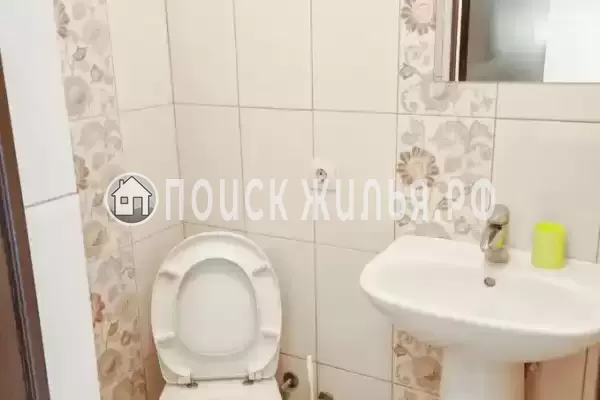 «Виноград» «Виноград»