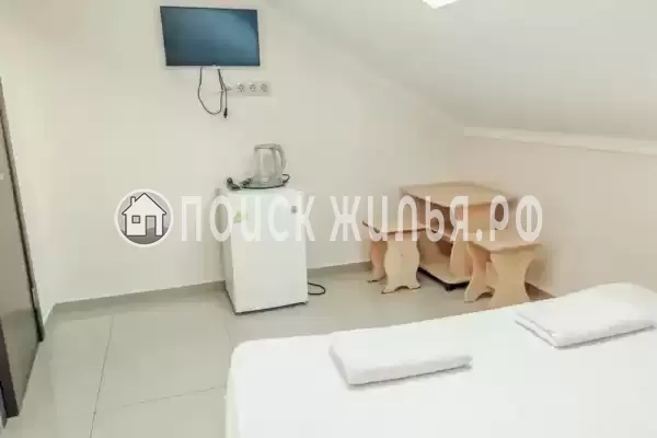 «Виноград» «Виноград»