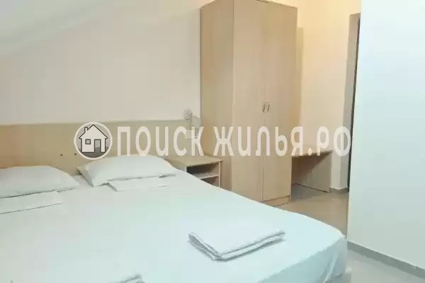 «Виноград» «Виноград»