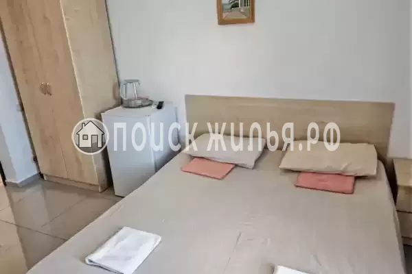 «Виноград» «Виноград»