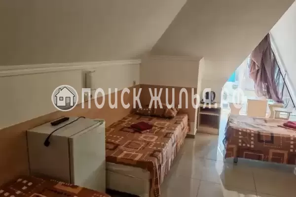 «Виноград» «Виноград»