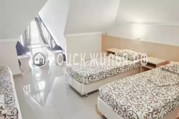 «Виноград» «Виноград»